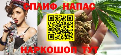 прущие грибы Ливны
