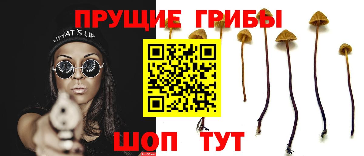 Галлюциногенные грибы GOLDEN TEACHER  Псилоцибиновые грибы Cubensis  Гудермес  Вход с VPN 
